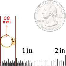 Load image into Gallery viewer, 20G 5/16 Gold Tone Feather Seamless Circular Ring
