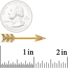 Load image into Gallery viewer, 14G 9/16 Clear Gem Gold Tone Flying Arrow Barbell Nipple Ring Set
