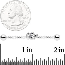 Load image into Gallery viewer, 14G Clear Gem Leaf Industrial Barbell 38mm
