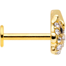Load image into Gallery viewer, 16G 5/16 Clear Black Gem Gold Tone Flying Pig Labret Tragus
