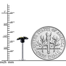 Load image into Gallery viewer, 16G 5/16 Black Yellow Spooky Spider Halloween Labret Monroe Tragus
