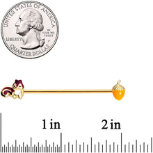 Load image into Gallery viewer, 14G Gold Tone Squirrel Acorn Industrial Barbell 38mm
