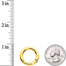 Load image into Gallery viewer, 6G 9/16 Gold Tone PVD Steel Hinged Segment Ring
