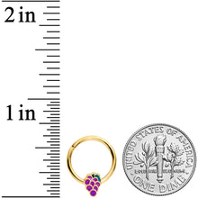 Load image into Gallery viewer, 16G 3/8  Gold Tone Sweet Purple Grapes Hinged Segment Ring
