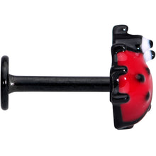 Load image into Gallery viewer, 16G 5/16 Red Black Insect Ladybug Labret Monroe Tragus
