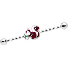 Load image into Gallery viewer, 14G Snacking Squirrel Industrial Barbell 38mm
