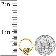 Load image into Gallery viewer, 16G 3/8 Gold Tone Yummy Grapes Septum Ring
