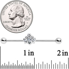Load image into Gallery viewer, 14G Clear Gem Classic Cluster Industrial Barbell 38mm
