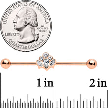 Load image into Gallery viewer, 14G Clear Gem Rose Gold Hue Anodized Cluster Industrial Barbell 38mm
