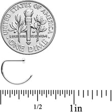 Load image into Gallery viewer, 20G 5/16 Implant Grade Titanium D Shape Nose Hoop
