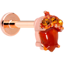 Load image into Gallery viewer, 16G 5/16 Rose Gold Hue Brown Gem Fall Acorn Labret Monroe Tragus
