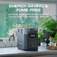 Load image into Gallery viewer, NEW EF ECOFLOW Portable Power Station Delta 2
