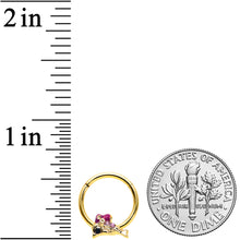 Load image into Gallery viewer, 16G 3/8 Purple Gem Gold Tone Dainty Dolphin Hinged Segment Ring
