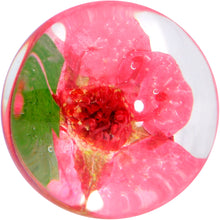 Load image into Gallery viewer, Clear Acrylic Color Pressed Flower Double Flare Plug Set
