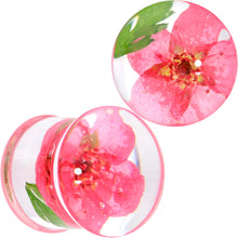 Load image into Gallery viewer, Clear Acrylic Color Pressed Flower Double Flare Plug Set
