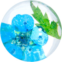 Load image into Gallery viewer, Clear Acrylic Color Pressed Flowers Double Flare Plug Set
