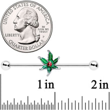 Load image into Gallery viewer, 14G Tiny Ladybug Leaves Industrial Barbell 38mm
