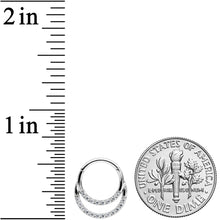 Load image into Gallery viewer, 16G 5/16 Clear CZ Gem Double Row Hinged Segment Ring
