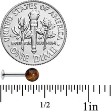 Load image into Gallery viewer, 16G 1/4 Elegant Brown Tiger Eye Internal Threaded Labret Tragus
