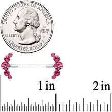 Load image into Gallery viewer, 14G 13/16 Pink Gem Bioplast Simple Curvation Barbell Nipple Ring Set
