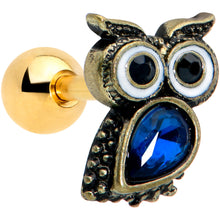 Load image into Gallery viewer, 16G 1/4 Blue Gem Gold Tone Wide Eyed Owl Cartilage Tragus Earring
