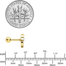 Load image into Gallery viewer, 16G 1/4 Gold Tone Blue Eyed Santa Christmas Cartilage Tragus
