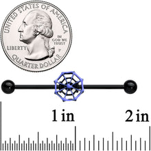 Load image into Gallery viewer, 14G Black Purple Spider Web Halloween Industrial Barbell 38mm
