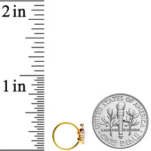 Load image into Gallery viewer, 20G 5/16 Clear Gem Gold Tone Deco Santa Christmas Nose Hoop

