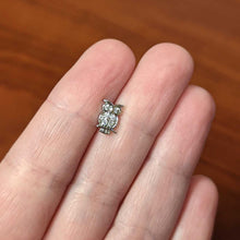 Load image into Gallery viewer, 16G 5/16 Clear CZ Gem Owl Internal Thread Labret Monroe Tragus
