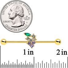Load image into Gallery viewer, 14G Clear CZ Gem Gold Tone Bunch Grapes Industrial Barbell 38mm
