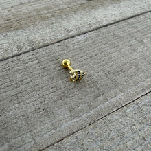Load image into Gallery viewer, 16G 1/4 Gold Tone Blue Adorable Angelfish Cartilage Tragus
