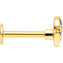 Load image into Gallery viewer, 16G 5/16 Gold Tone Blue Adorable Angelfish Labret Monroe Tragus
