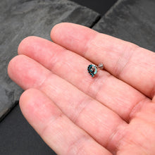 Load image into Gallery viewer, 16G 1/4 Leaping Blue Dolphin Labret

