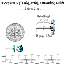 Load image into Gallery viewer, 16G 1/4 Leaping Blue Dolphin Labret
