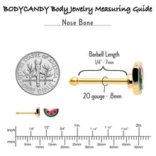 Load image into Gallery viewer, 20G 1/4 Gold Tone Watermelon Bite Nose Bone
