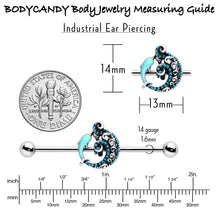Load image into Gallery viewer, 14G Leaping Blue Dolphin Industrial Barbell 38mm
