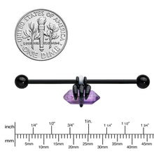 Load image into Gallery viewer, 14G Purple Amethyst Black Claw Industrial Barbell 38mm
