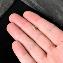 Load image into Gallery viewer, 20G 7mm Clear Gem Gold Tone Flying Dragonfly L Shape Nose Ring
