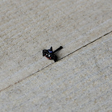 Load image into Gallery viewer, 20G 1/4 Black Halloween Witchy Smiling Spider Nose Bone
