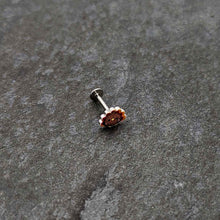 Load image into Gallery viewer, 16G 5/16 Sweet Tiny Turkey Thanksgiving Labret Monroe Tragus
