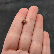 Load image into Gallery viewer, 16G 5/16 Sweet Tiny Turkey Thanksgiving Labret Monroe Tragus
