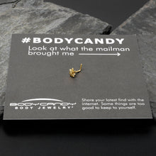 Load image into Gallery viewer, 20G 1/4 Gold Tone Texture Pot Leaf L Shape Nose Ring
