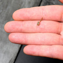 Load image into Gallery viewer, 20G 7mm Clear Gem Gold Tone Luscious Lizard L Shape Nose Ring
