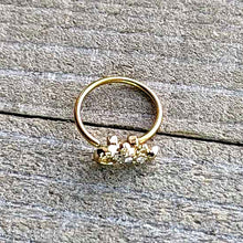 Load image into Gallery viewer, 20G 5/16 Clear Gem Gold Tone Luscious Lizard Nose Hoop
