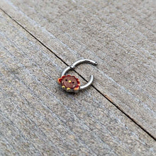 Load image into Gallery viewer, 16G 5/16 Sweet Tiny Turkey Thanksgiving Hinged Segment Ring
