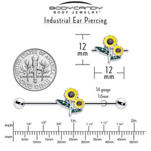 Load image into Gallery viewer, 14G Cheery Inlay Sunflowers Industrial Barbell 38mm
