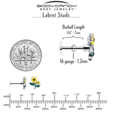 Load image into Gallery viewer, 16G 1/4 Cheery Inlay Sunflowers Labret

