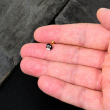 Load image into Gallery viewer, 16G 5/16 Gold Hue Round Penguin Face Holiday Labret Monroe Tragus
