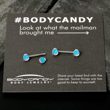Load image into Gallery viewer, 14G 9/16  Blue Pink Celebration Easter Egg Barbell Nipple Ring Set
