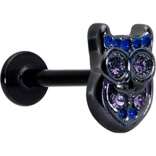 Load image into Gallery viewer, 16G 5/16 Purple Gem Black Opulent Owl Labret Monroe Tragus
